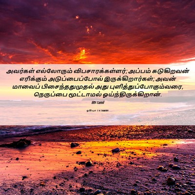Picture 06 - ஓசியா 7:4 TAMIRV - அவர்கள் எல்லோரும் - Bible Verse Picture