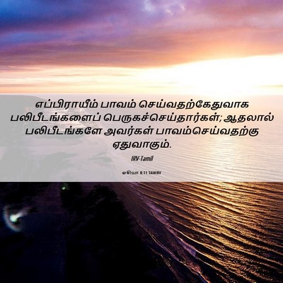Picture 06 - ஓசியா 8:11 TAMIRV - எப்பிராயீம் பாவம் - Bible Verse Picture