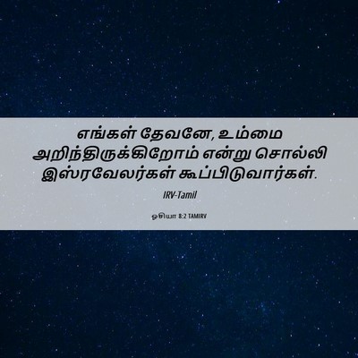 Picture 06 - ஓசியா 8:2 TAMIRV - எங்கள் தேவனே, - Bible Verse Picture