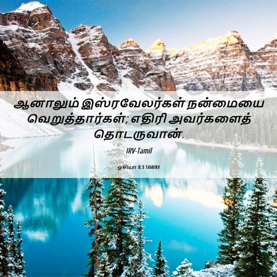 Picture 06 - ஓசியா 8:3 TAMIRV - ஆனாலும் - Bible Verse Picture