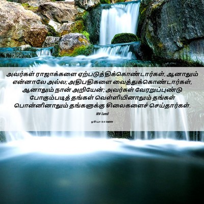 Picture 06 - ஓசியா 8:4 TAMIRV - அவர்கள் ராஜாக்களை - Bible Verse Picture