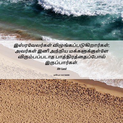 Picture 06 - ஓசியா 8:8 TAMIRV - இஸ்ரவேலர்கள் - Bible Verse Picture