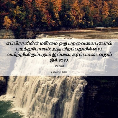 Picture 06 - ஓசியா 9:11 TAMIRV - எப்பிராயீமின் - Bible Verse Picture