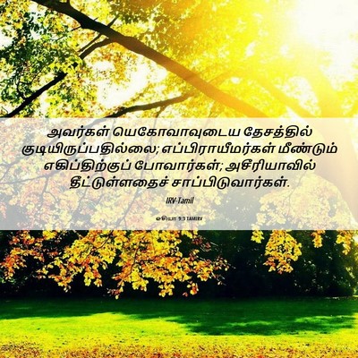 Picture 06 - ஓசியா 9:3 TAMIRV - அவர்கள் - Bible Verse Picture