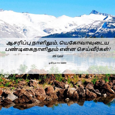 Picture 06 - ஓசியா 9:5 TAMIRV - ஆசரிப்பு - Bible Verse Picture