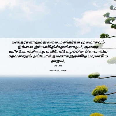 Picture 06 - கலாத்தியர் 1:1 TAMIRV - மனிதர்களாலும் - Bible Verse Picture
