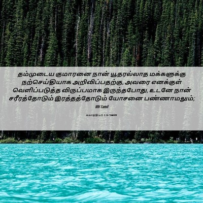 Picture 06 - கலாத்தியர் 1:16 TAMIRV - தம்முடைய குமாரனை - Bible Verse Picture