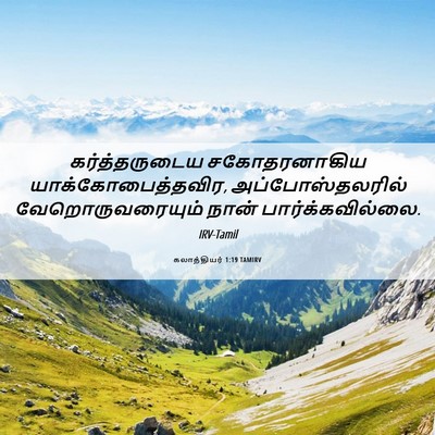 Picture 06 - கலாத்தியர் 1:19 TAMIRV - கர்த்தருடைய - Bible Verse Picture