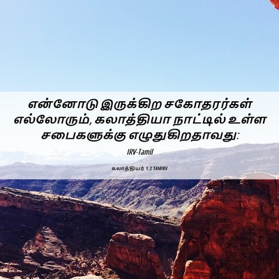Picture 06 - கலாத்தியர் 1:2 TAMIRV - என்னோடு இருக்கிற - Bible Verse Picture