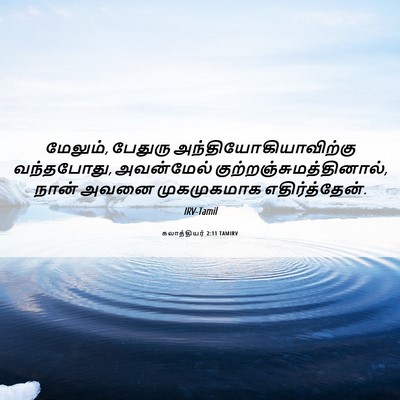 Picture 06 - கலாத்தியர் 2:11 TAMIRV - மேலும், பேதுரு - Bible Verse Picture