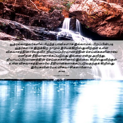 Picture 06 - கலாத்தியர் 2:15 TAMIRV -  - Bible Verse Picture