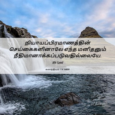 Picture 06 - கலாத்தியர் 2:16 TAMIRV -  - Bible Verse Picture