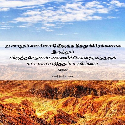 Picture 06 - கலாத்தியர் 2:3 TAMIRV - ஆனாலும் என்னோடு - Bible Verse Picture