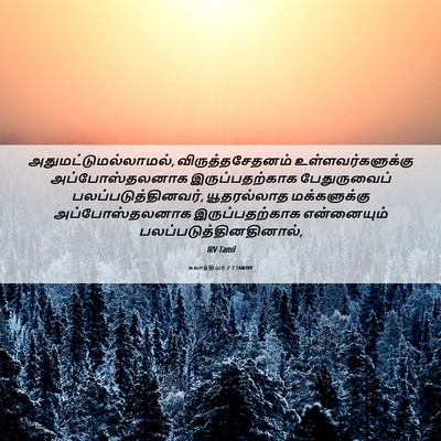 Picture 06 - கலாத்தியர் 2:7 TAMIRV - அதுமட்டுமல்லாமல், - Bible Verse Picture