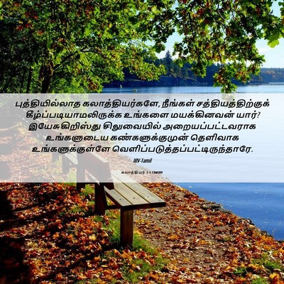 Picture 06 - கலாத்தியர் 3:1 TAMIRV - புத்தியில்லாத - Bible Verse Picture
