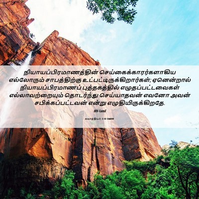 Picture 06 - கலாத்தியர் 3:10 TAMIRV -  - Bible Verse Picture