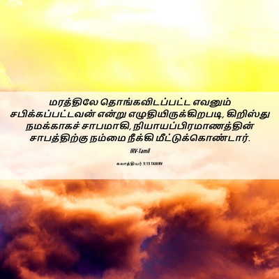 Picture 06 - கலாத்தியர் 3:13 TAMIRV - மரத்திலே - Bible Verse Picture