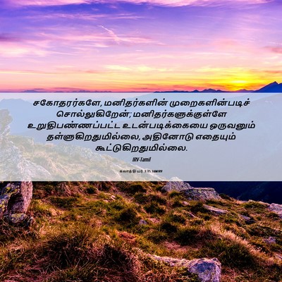 Picture 06 - கலாத்தியர் 3:15 TAMIRV - சகோதரர்களே, - Bible Verse Picture