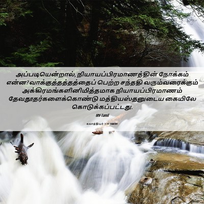 Picture 06 - கலாத்தியர் 3:19 TAMIRV - அப்படியென்றால், - Bible Verse Picture