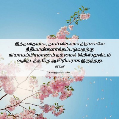 Picture 06 - கலாத்தியர் 3:24 TAMIRV - இந்தவிதமாக, நாம் - Bible Verse Picture