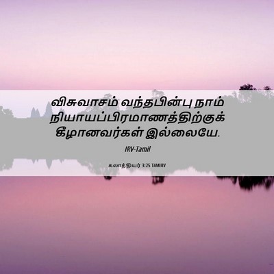 Picture 06 - கலாத்தியர் 3:25 TAMIRV - விசுவாசம் - Bible Verse Picture