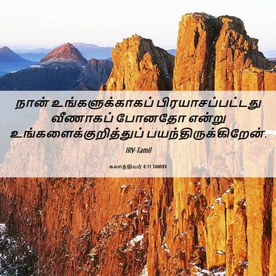 Picture 06 - கலாத்தியர் 4:11 TAMIRV - நான் - Bible Verse Picture