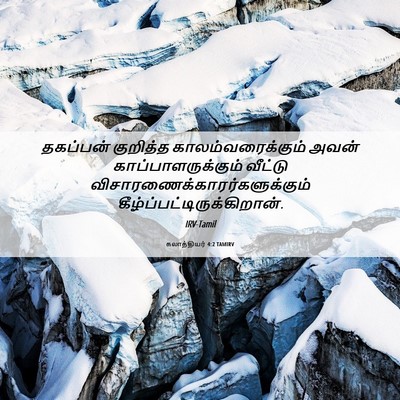 Picture 06 - கலாத்தியர் 4:2 TAMIRV - தகப்பன் குறித்த - Bible Verse Picture