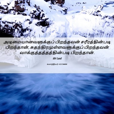 Picture 06 - கலாத்தியர் 4:23 TAMIRV -  - Bible Verse Picture