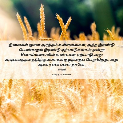 Picture 06 - கலாத்தியர் 4:24 TAMIRV - இவைகள் ஞான - Bible Verse Picture