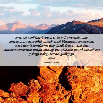 Picture 06 - கலாத்தியர் 4:30 TAMIRV - அதைக்குறித்து - Bible Verse Picture