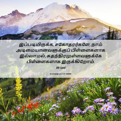 Picture 06 - கலாத்தியர் 4:31 TAMIRV - இப்படியிருக்க, - Bible Verse Picture