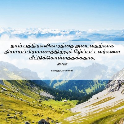 Picture 06 - கலாத்தியர் 4:4 TAMIRV - நாம் - Bible Verse Picture