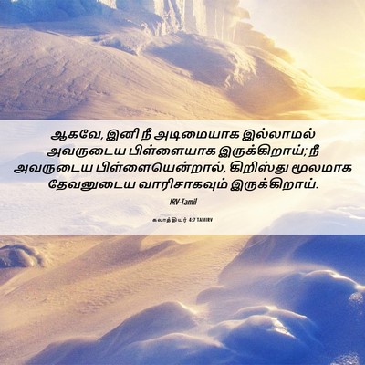 Picture 06 - கலாத்தியர் 4:7 TAMIRV - ஆகவே, இனி நீ - Bible Verse Picture