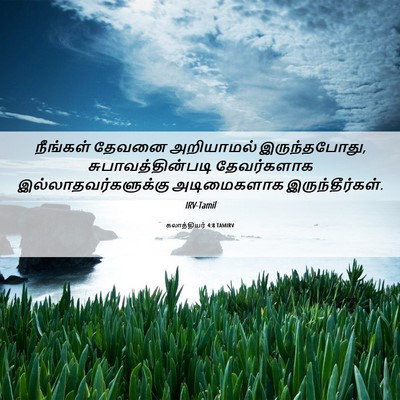 Picture 06 - கலாத்தியர் 4:8 TAMIRV - நீங்கள் தேவனை - Bible Verse Picture