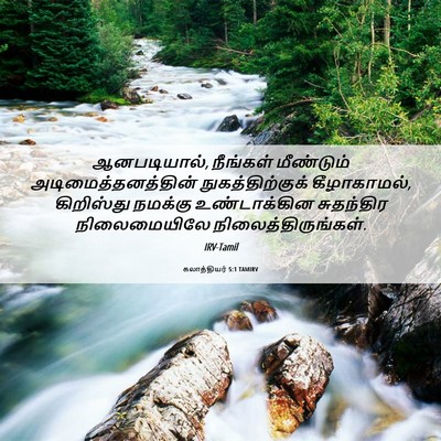 Picture 06 - கலாத்தியர் 5:1 TAMIRV - ஆனபடியால், - Bible Verse Picture