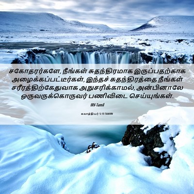 Picture 06 - கலாத்தியர் 5:13 TAMIRV - சகோதரர்களே, - Bible Verse Picture
