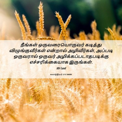 Picture 06 - கலாத்தியர் 5:15 TAMIRV - நீங்கள் - Bible Verse Picture