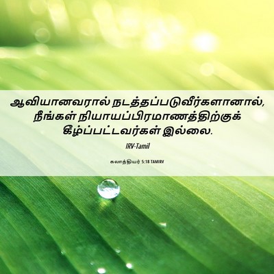 Picture 06 - கலாத்தியர் 5:18 TAMIRV - ஆவியானவரால் - Bible Verse Picture