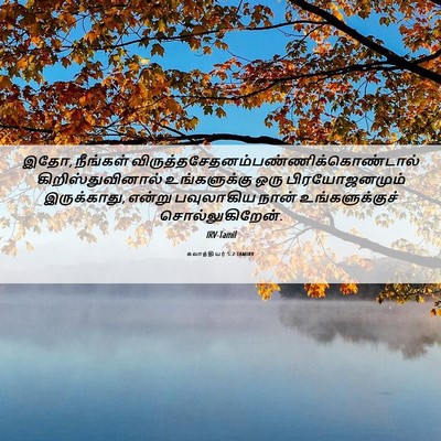Picture 06 - கலாத்தியர் 5:2 TAMIRV - இதோ, நீங்கள் - Bible Verse Picture