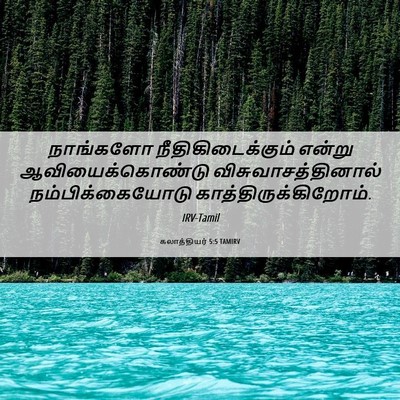 Picture 06 - கலாத்தியர் 5:5 TAMIRV - நாங்களோ - Bible Verse Picture