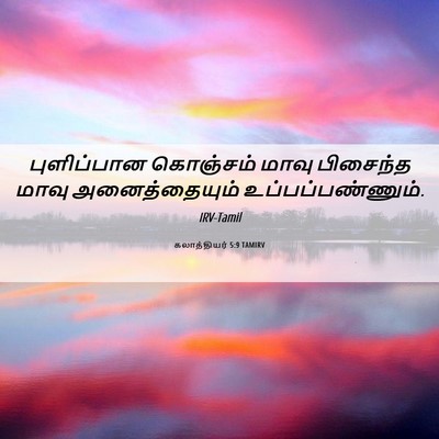 Picture 06 - கலாத்தியர் 5:9 TAMIRV - புளிப்பான கொஞ்சம் - Bible Verse Picture