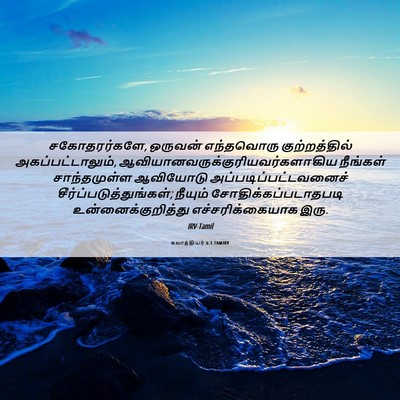 Picture 06 - கலாத்தியர் 6:1 TAMIRV - சகோதரர்களே, - Bible Verse Picture