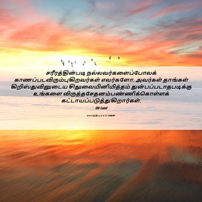 Picture 06 - கலாத்தியர் 6:12 TAMIRV - சரீரத்தின்படி - Bible Verse Picture