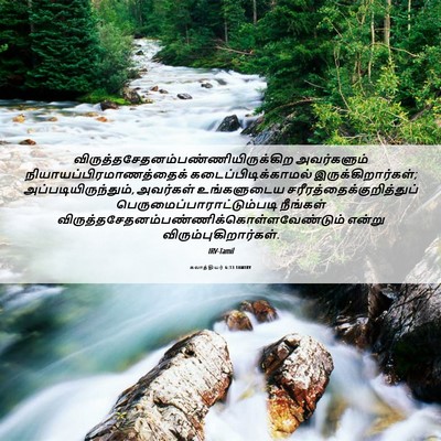 Picture 06 - கலாத்தியர் 6:13 TAMIRV -  - Bible Verse Picture