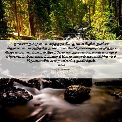 Picture 06 - கலாத்தியர் 6:14 TAMIRV - நானோ நம்முடைய - Bible Verse Picture