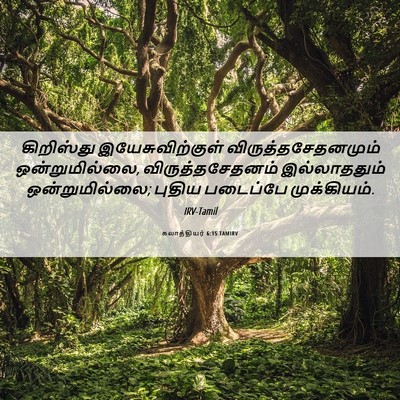 Picture 06 - கலாத்தியர் 6:15 TAMIRV - கிறிஸ்து - Bible Verse Picture