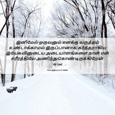 Picture 06 - கலாத்தியர் 6:17 TAMIRV - இனிமேல் ஒருவனும் - Bible Verse Picture