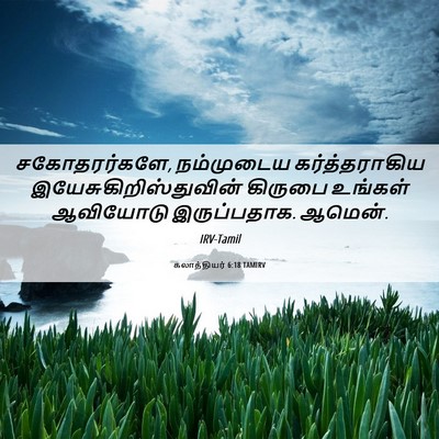 Picture 06 - கலாத்தியர் 6:18 TAMIRV - சகோதரர்களே, - Bible Verse Picture