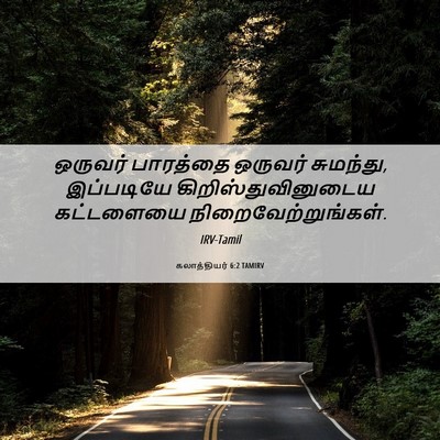 Picture 06 - கலாத்தியர் 6:2 TAMIRV - ஒருவர் பாரத்தை - Bible Verse Picture