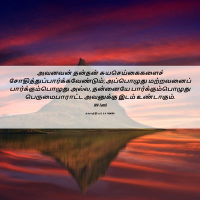 Picture 06 - கலாத்தியர் 6:4 TAMIRV - அவனவன் தன்தன் - Bible Verse Picture